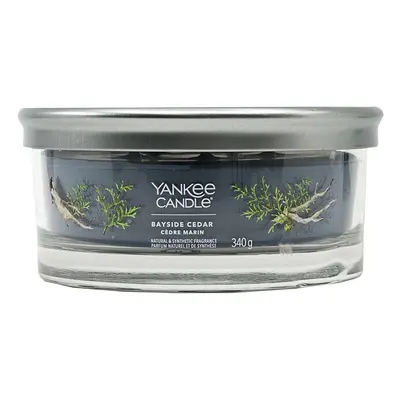 Yankee Candle Signature Multi Wick Tumbler Bayside Cedar 340 g