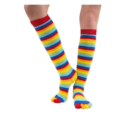 KNEE-High prstové podkolenky ToeToe Rainbow 1 pár