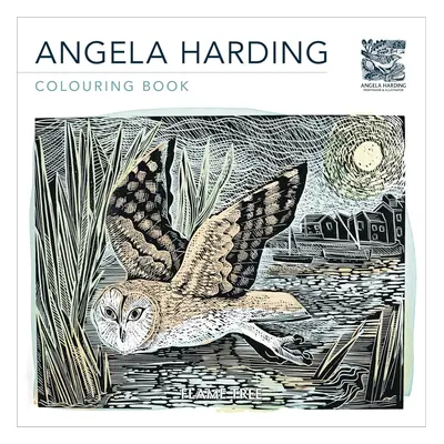 Angela Harding Art Colouring Book, antistresové omalovánky, Angela Harding