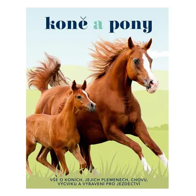 Koně a pony - Vše o koních