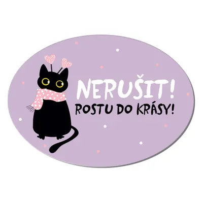 Cedulka na dveře - Rostu do krásy