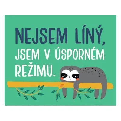 Cedulka na dveře - Nejsem líný