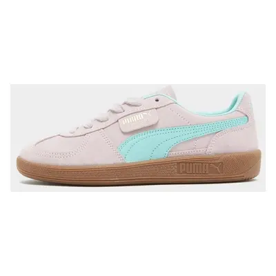 Puma Palermo