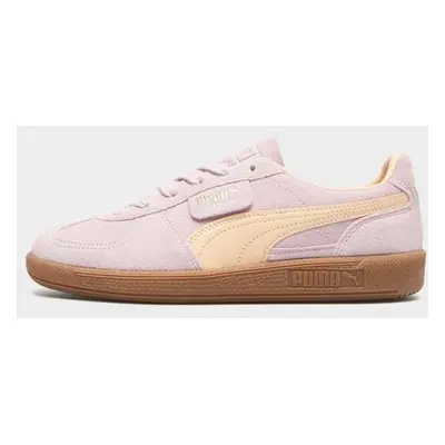 Puma Palermo