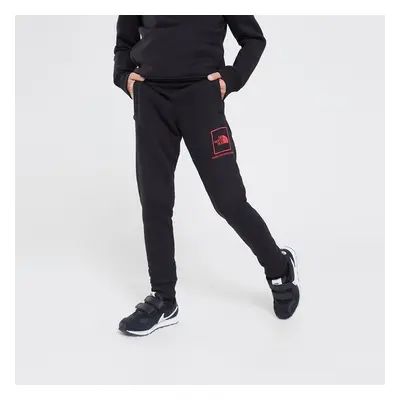 The North Face Kalhoty Small Box Line Pant Tnf Bl