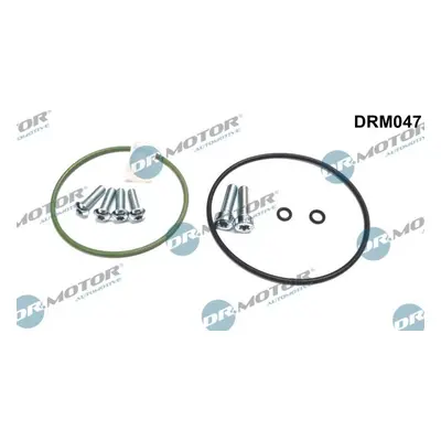 Opravná sada, podtlaková pumpa (brzdová soustava) Dr.Motor Automotive DRM047