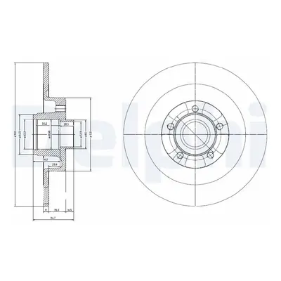 Brzdový kotouč DELPHI BG9024RS