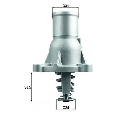 Termostat, chladivo MAHLE TI 260 92