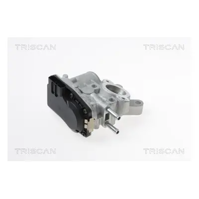 AGR-Ventil TRISCAN 8813 14100