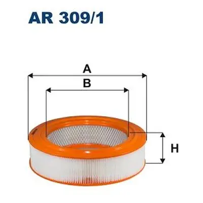 Vzduchový filtr FILTRON AR 309/1