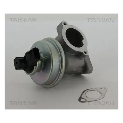 AGR-Ventil TRISCAN 8813 16012