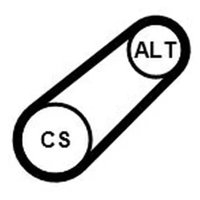 ozubený klínový řemen CONTINENTAL CTAM 6PK701 ELAST