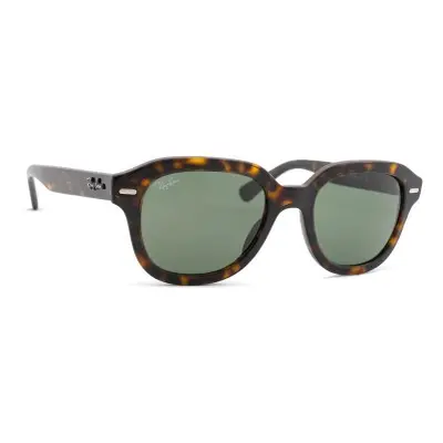 Ray-Ban Erik RB4398 902/31