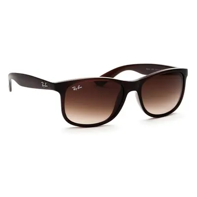 Ray-Ban Andy RB4202 607313 55