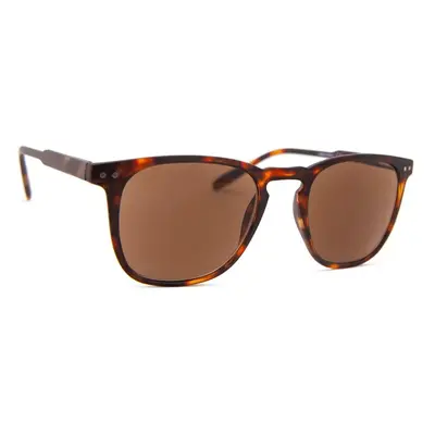 I Need You Reading Sun Playa Tortoise/Brown