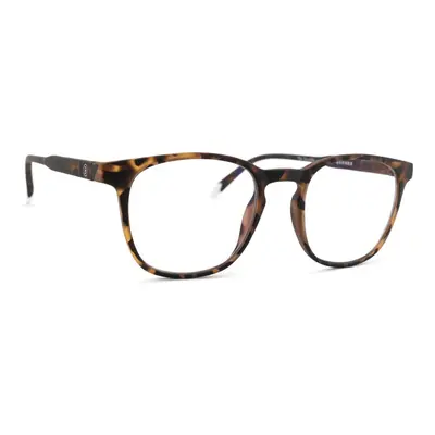 Barner Screen Dalston Tortoise