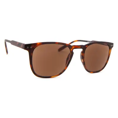 I Need You Reading Sun Playa Tortoise/Brown