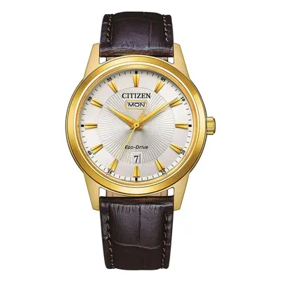 Citizen AW0102-13AE