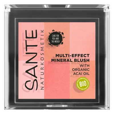 Sante Barva na tváře Multi Effect Beauty - 8g 8g