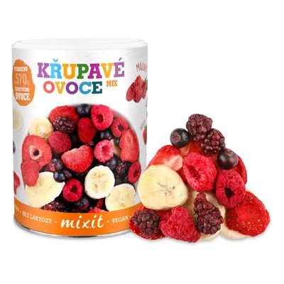 Mixit Malé Křupavé ovoce 70 g