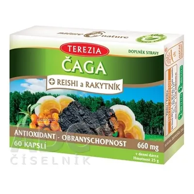 TEREZIA COMPANY s.r.o. TEREZIA ČAGA + REISHI a RAKYTNÍK cps 1x60 ks 60 ks