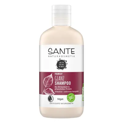 Sante Šampon Gloss březový - 250ml 250ml