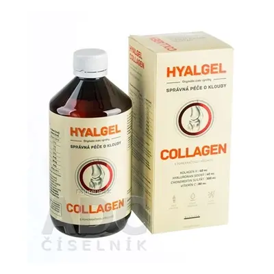 SILVITA s.r.o. HYALGEL COLLAGEN tekutý přípravek s pomerančovou příchutí 1x500 ml 500ml