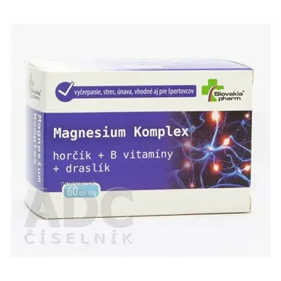 Biomedica, spol. s r.o. Slovakiapharm Magnesium Komplex tbl 1x60 ks 60 ks