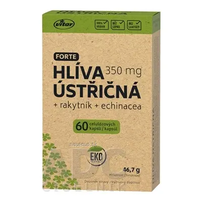 VITAR s.r.o. VITAR HLÍVA ÚSTŘICOVÁ + rakytník + echinacea FORTE cps 1x60 ks