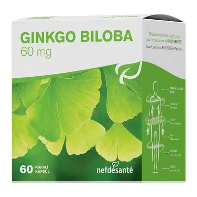 Nefdesante GINGKO BILOBA 60mg (cps 6x10 (60 ks)) 60 kapsúl