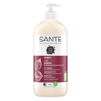 Sante Šampon Gloss březový - 950ml 950ml