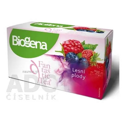 BIOGENA CB spol. s r.o. Biogena Fantastic Tea Lesní plody ovocný čaj 20x2,2 g (44 g) 20 ks