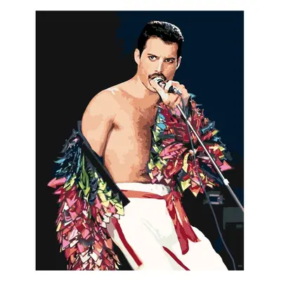 MALUJEŠ Malování podle čísel - FREDDIE MERCURY Rozměr: 30x40 cm, Rámování: vypnuté plátno na rám