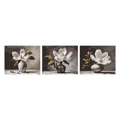 MALUJEŠ Malování podle čísel - SET ROZTOMILÁ MAGNOLIE Rozměr: 60x80 cm, Rámování: vypnuté plátno