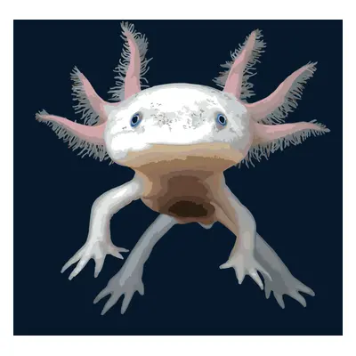 MALUJEŠ Malování podle čísel - AXOLOTL MEXICKÝ Rozměr: 80x80 cm, Rámování: bez rámu a bez vypnut