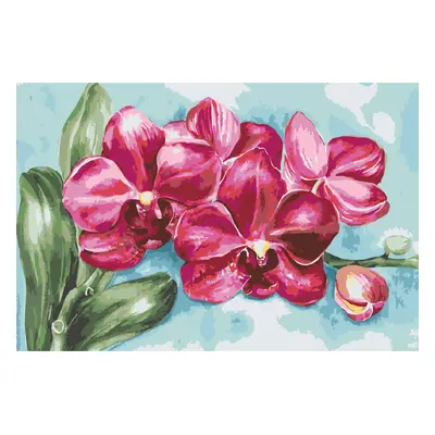 MALUJEŠ Malování podle čísel - ANNA´S ART - KVETOUCÍ ORCHIDEJ Rozměr: 40x60 cm, Rámování: bez rá