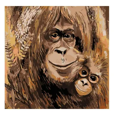 MALUJEŠ Malování podle čísel - OBRAZY OD LENKY - ORANGUTANI Rozměr: 50x50 cm, Rámování: vypnuté 