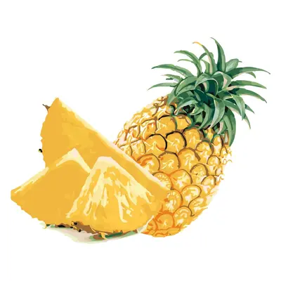 MALUJEŠ Malování podle čísel - ANANAS Rozměr: 80x100 cm, Rámování: vypnuté plátno na rám