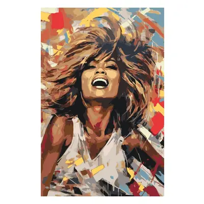 MALUJEŠ Malování podle čísel - TINA TURNER Rozměr: 60x80 cm, Rámování: vypnuté plátno na rám