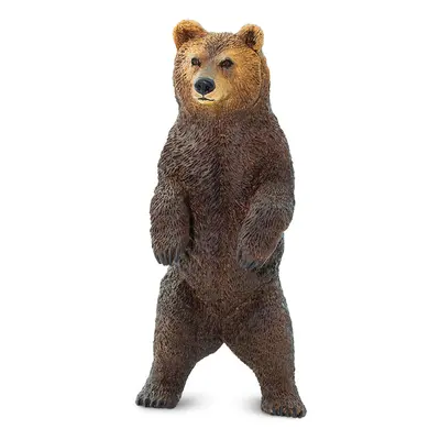 Medvěd Grizzly