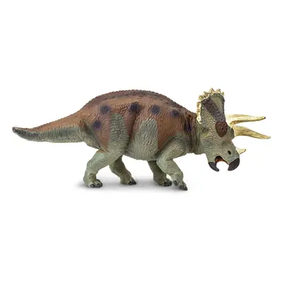 Triceratops