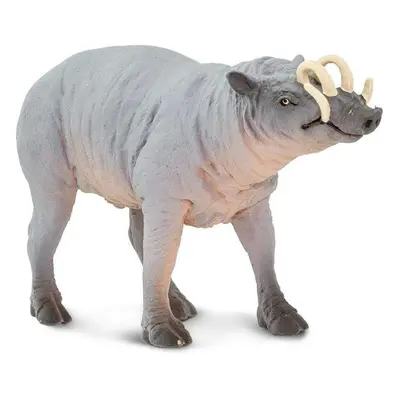 Babirusa