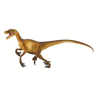 Velociraptor