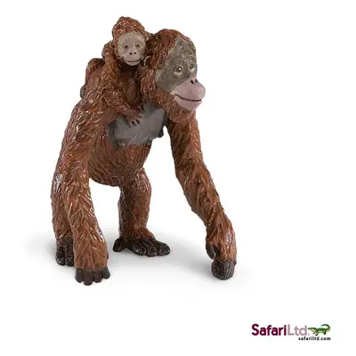 Orangutan s mládětem