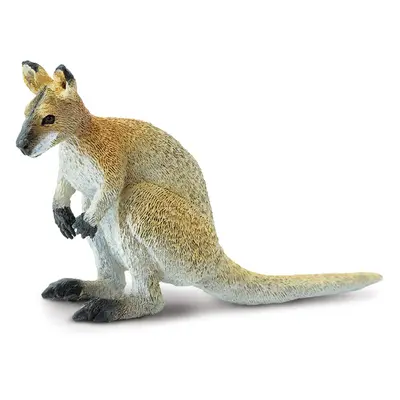 Klokan (Wallaby)