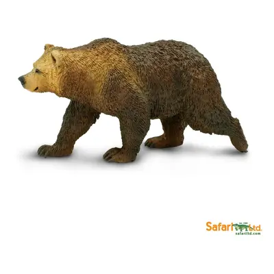 Medvěd Grizzly