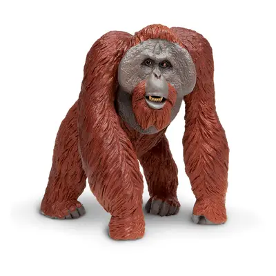 Orangutan bornejský