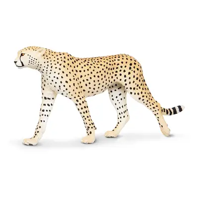 Gepard