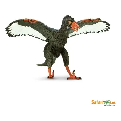 Archaeopteryx