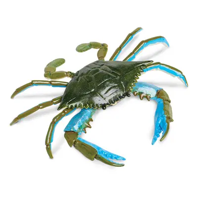 Krab modrý